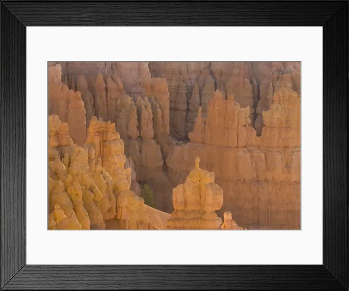Framed Print : USA - Pinnacles of limestone rock (so-called hoodoos) and eroding fins in the spectacular Bryce Amphitheatre. Bryce Canyon National Park, Utah, USA Framed Print : USA - Pinnacles of limestone rock (so-called hoodoos) and eroding fins in the spectacular Bryce Amphitheatre. Bryce Canyon National Park, Utah, USA