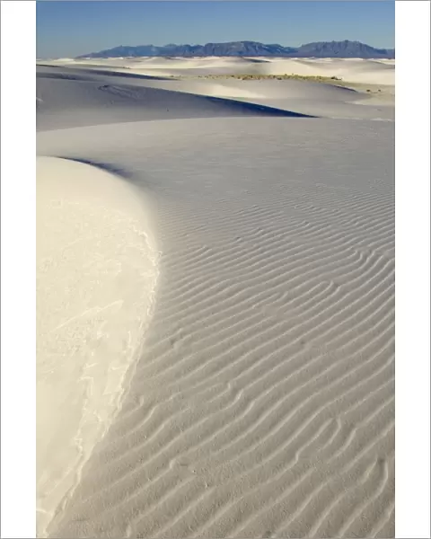 USA - The glistening dunes of White Sands in the Tularosa Basin are not sand, but fine gypsum, deposited on an ancient seabed 250 million years ago. Gypsum, a form of calcium sulfate, is water soluble and washes away