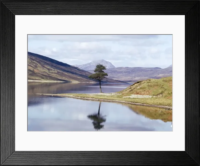 Framed Print : Scotland - tree refelection Loch Luichart, Ross & Cromarty Framed Print : Scotland - tree refelection Loch Luichart, Ross & Cromarty