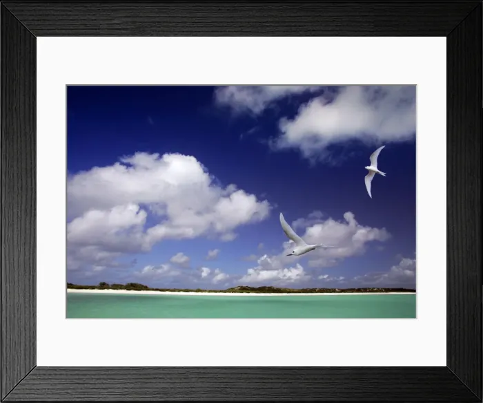 Framed Print : Cosmoledo Lagoon. Seychelles - Indian Ocean Framed Print : Cosmoledo Lagoon. Seychelles - Indian Ocean