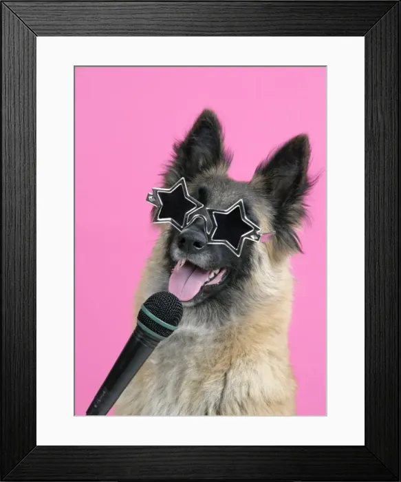 Framed Print : DOG. Tervuren, with microphone & glasses Framed Print : DOG. Tervuren, with microphone & glasses