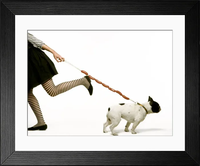Framed Print : Dog - woman pulling dog on sausage lead Framed Print : Dog - woman pulling dog on sausage lead