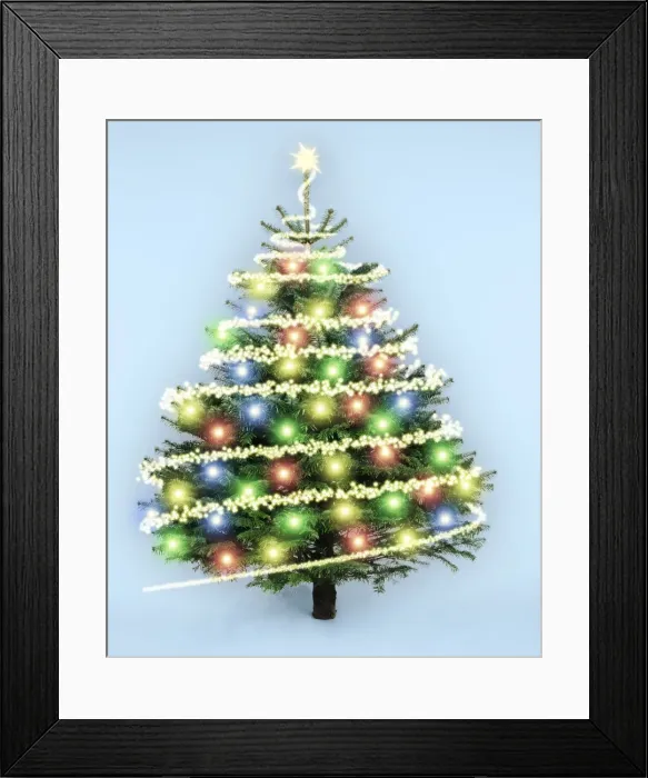 Framed Print : Cristmas Tree - with Christmas lights on. Nordmann's Fir (Caucasian Fir) variety Digital Manipulation: changed background colour, added lights & stars Framed Print : Cristmas Tree - with Christmas lights on. Nordmann's Fir (Caucasian Fir) variety Digital Manipulation: changed background colour, added lights & stars