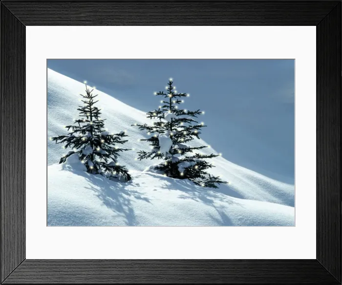 Framed Print : Norway Spruce Tree - young trees in snow with Christmas lights, winter. Hoge Venen Les Fagnes Belgium. Digital manipulation: added lights, darkened background Framed Print : Norway Spruce Tree - young trees in snow with Christmas lights, winter. Hoge Venen Les Fagnes Belgium. Digital manipulation: added lights, darkened background