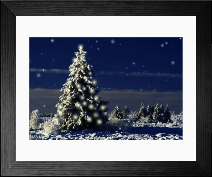 Framed Print : Norway Spruce Tree - In winter snow with Christmas lights. Digital Manipulation: Added darkness, falling snow & Lights Framed Print : Norway Spruce Tree - In winter snow with Christmas lights. Digital Manipulation: Added darkness, falling snow & Lights