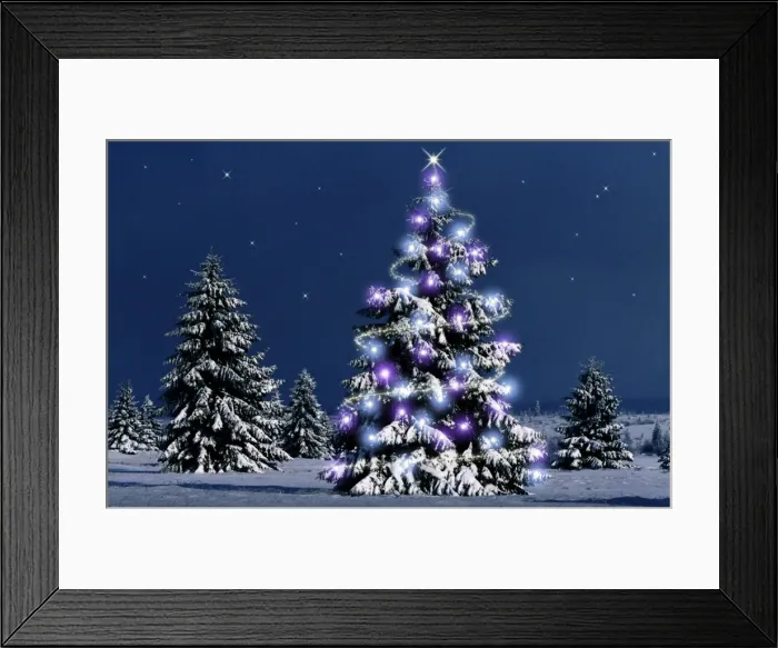 Framed Print : Conifers - with Christmas lights High-moor National Reserve, Belgium. Ditital Manipulation: darkened, added lights & stars Framed Print : Conifers - with Christmas lights High-moor National Reserve, Belgium. Ditital Manipulation: darkened, added lights & stars
