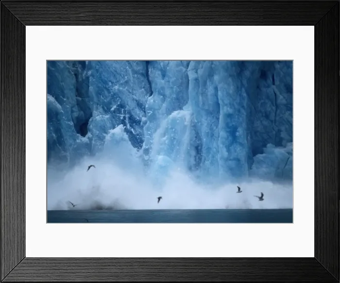 Framed Print : Alaska Glaciers calving, Kenai Fjords National Park, Seward, Alaska, USA Framed Print : Alaska Glaciers calving, Kenai Fjords National Park, Seward, Alaska, USA