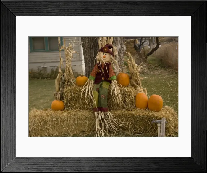 Framed Print : Figure and pumpkins, set up to commemorate Hallowe'en. Cannonville, Utah