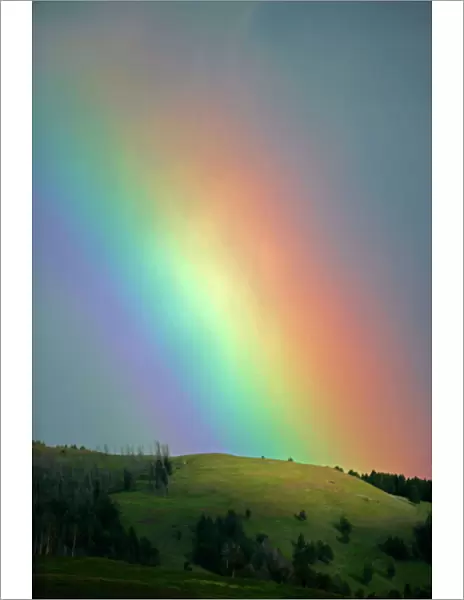 Rainbow - Lamar Valley - Yellowstone National Park, USA