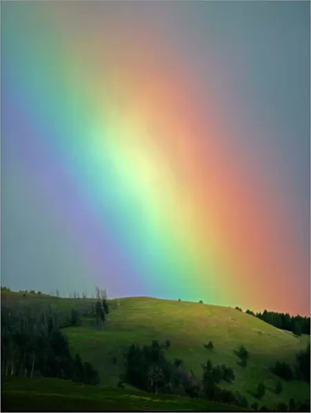 Rainbow - Lamar Valley - Yellowstone National Park, USA