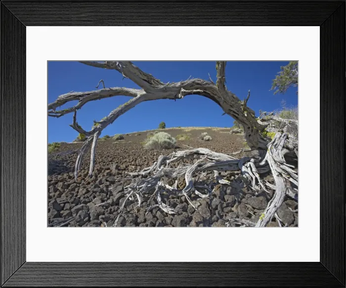 Framed Print : Schonchin Butte (Volcanic one) Lava Beds National Monument California, USA LA000828 Framed Print : Schonchin Butte (Volcanic one) Lava Beds National Monument California, USA LA000828