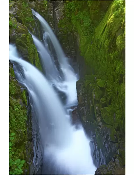 Sol Duc Falls -Olympic National Park, Washington State, USA LA001471