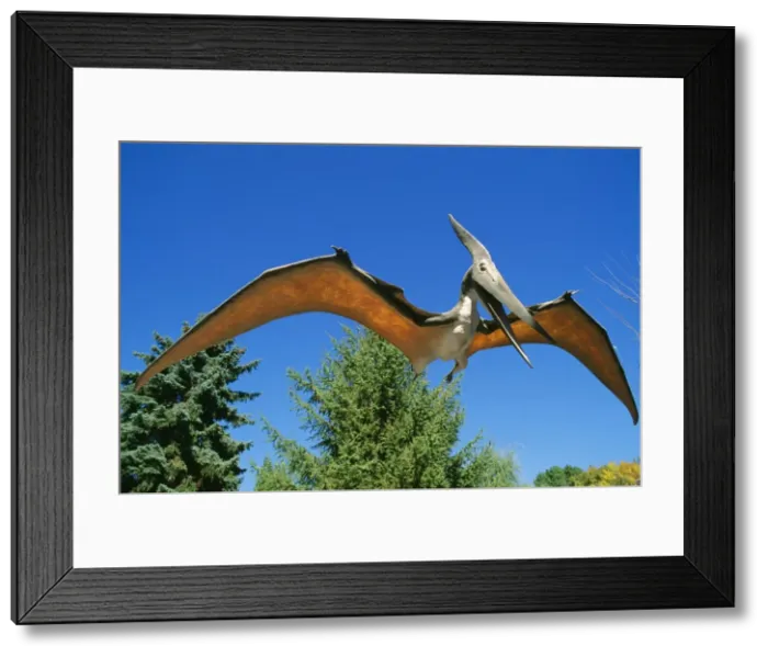Framed Print : Prehistoric Reconstruction - Archeopteryx Framed Print : Prehistoric Reconstruction - Archeopteryx