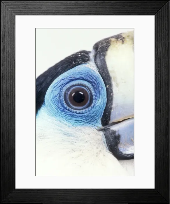 Framed Print : JD-17087-M Framed Print : JD-17087-M