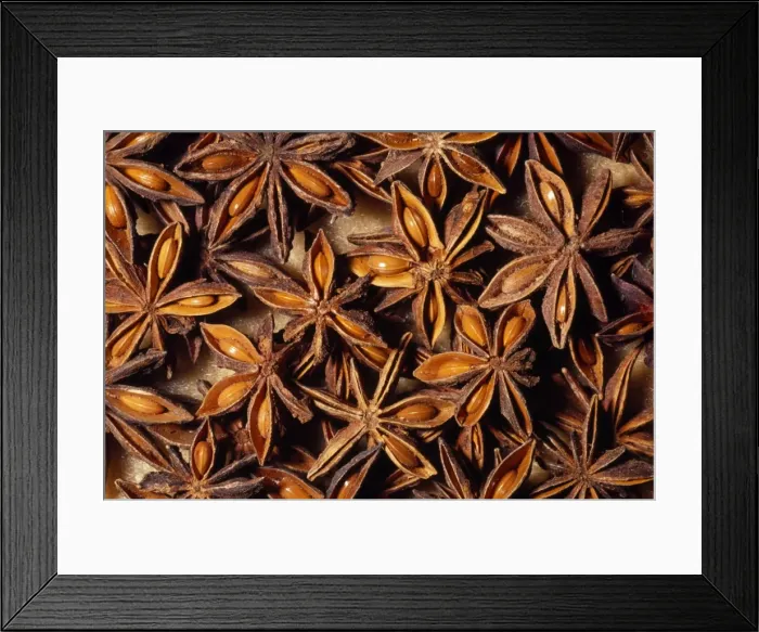 Framed Print : Star Anise - whole seed pod, dried. Herb / spice. Native to: South Western China Framed Print : Star Anise - whole seed pod, dried. Herb / spice. Native to: South Western China
