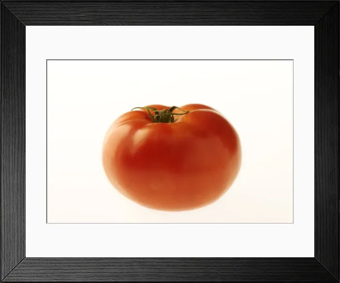 Framed Print : Tomato. LA-1068. Tomato. Jean Michel Labat Framed Print : Tomato. LA-1068. Tomato. Jean Michel Labat
