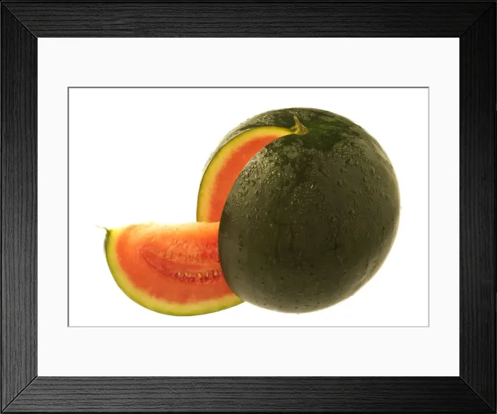 Framed Print : Watermelon Framed Print : Watermelon