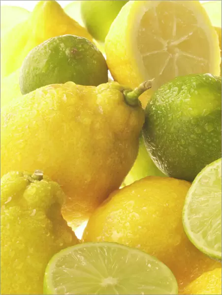 Yellow and green Lemons