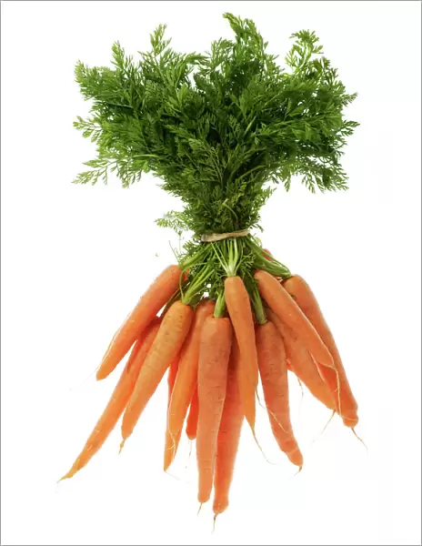 Carrots. LA-1077. Carrots - tied in bunch, showing leaf tops