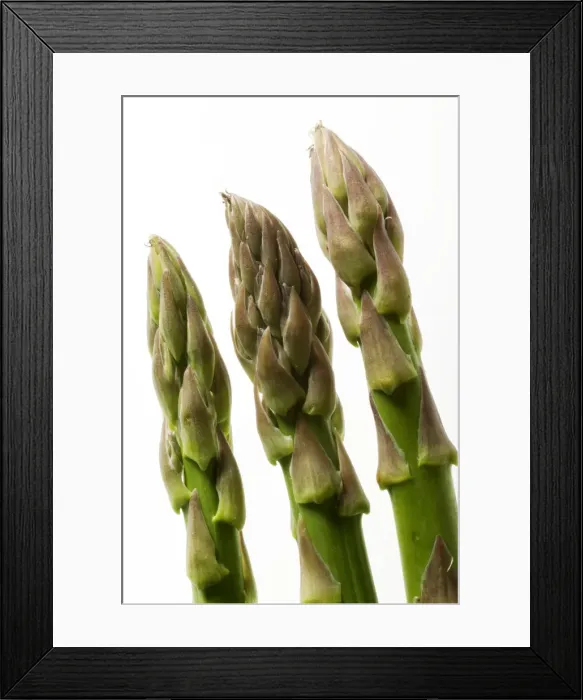 Framed Print : Green Asparagus Framed Print : Green Asparagus