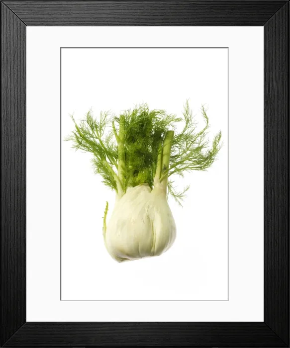 Framed Print : Fennel. LA-1080. Fennel. Jean Michel Labat Framed Print : Fennel. LA-1080. Fennel. Jean Michel Labat