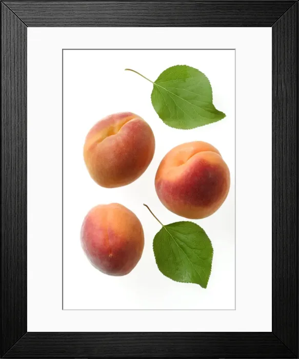 Framed Print : Apricot Fruit & leaves