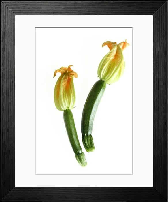 Framed Print : Courgette - with flowers Framed Print : Courgette - with flowers