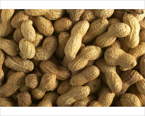 Peanuts. LA-912. Groundnuts  /  Peanuts. Jean Michel Labat