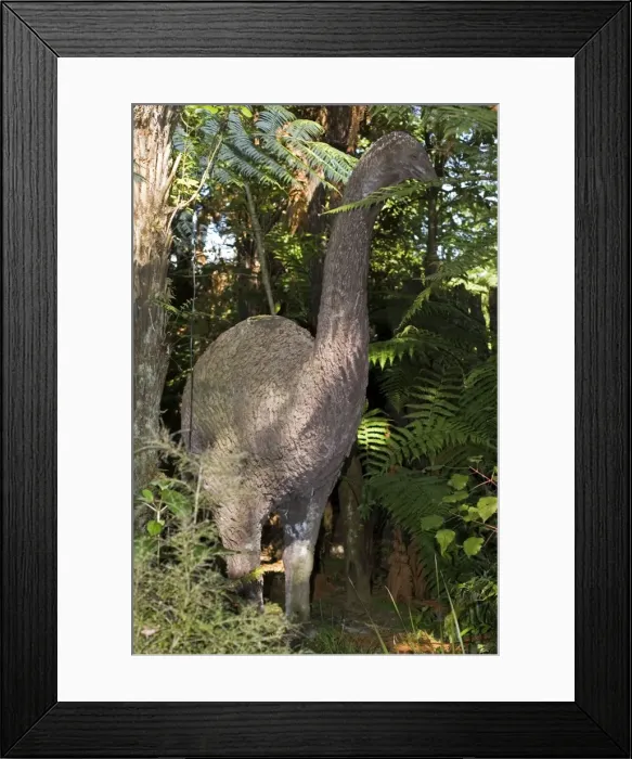 Framed Print : Moa Reconstruction - life size model of extinct Moa. Rainbow Springs - North Island - New Zealand. Thought to have become exinct through hunting and forest clearance in the 1500s but a few may have lived on until the early 19th century