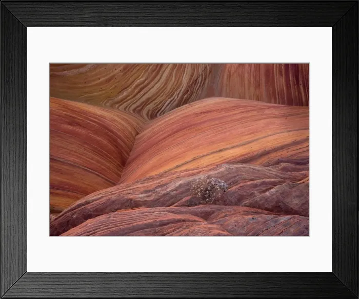 Framed Print : The Wave - an extraordinary area of sinuous eroded banded sandstone rocks in the Paria-Vermillion Cliffs National Monument, Arizona (on the border with Utah) Framed Print : The Wave - an extraordinary area of sinuous eroded banded sandstone rocks in the Paria-Vermillion Cliffs National Monument, Arizona (on the border with Utah)