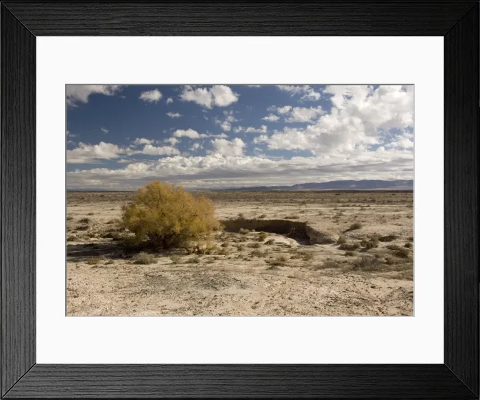 Framed Print : High desert in Utah, near Eureka. Basin and range. Invaded by tamarisk Framed Print : High desert in Utah, near Eureka. Basin and range. Invaded by tamarisk