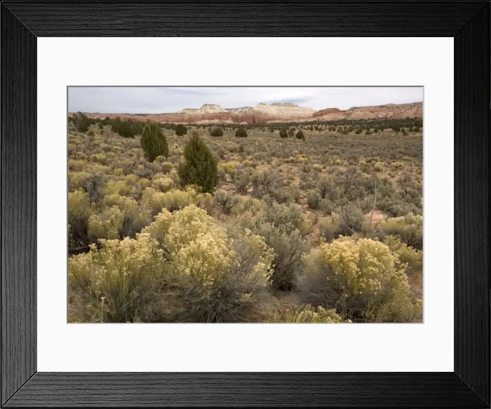 Framed Print : Sagebrush high desert land at Kodachrome Basin State Park, Utah Framed Print : Sagebrush high desert land at Kodachrome Basin State Park, Utah