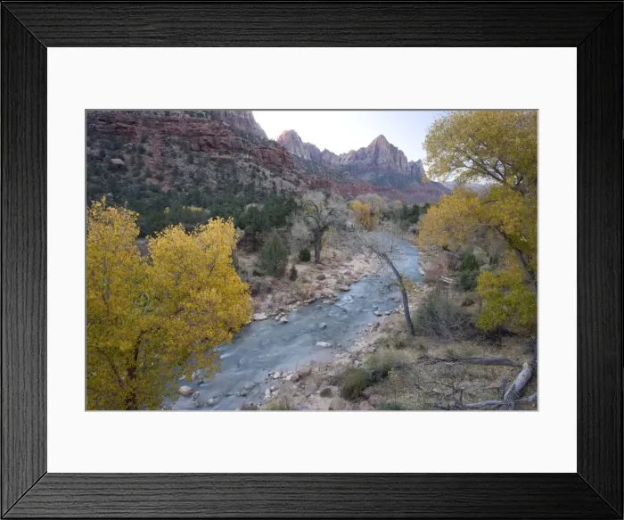 Framed Print : Zion National Park, Utah: Autumn along the Virgin River (North Fork), with cottonwoods Framed Print : Zion National Park, Utah: Autumn along the Virgin River (North Fork), with cottonwoods