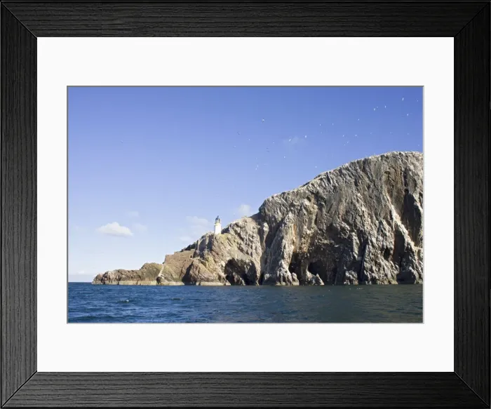 Framed Print : Bass Rock & gannets Scotland