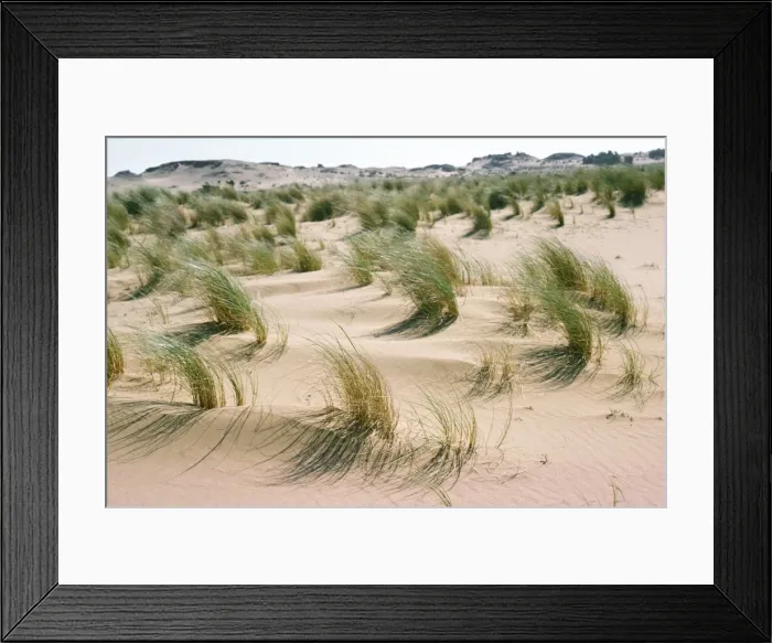 Framed Print : Marram Grass - & sand dunes Corfu