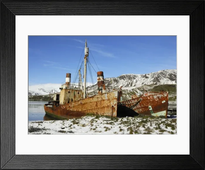 Framed Print : Sudgeorgien Sdgeorgien Framed Print : Sudgeorgien Sdgeorgien