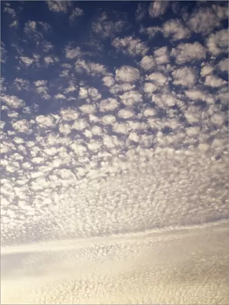 Cirrocumulus Clouds - mackerel sky