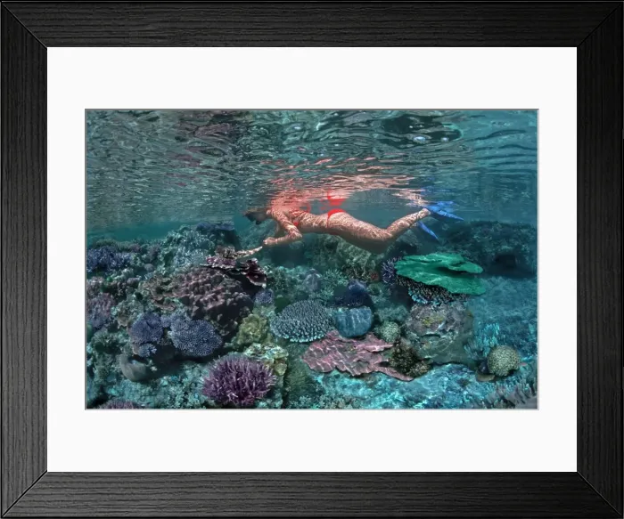 Framed Print : Coral pool - Girl snorkeling in a coral pool in reef around Heron Island Great Barrier Reef, Australia Framed Print : Coral pool - Girl snorkeling in a coral pool in reef around Heron Island Great Barrier Reef, Australia