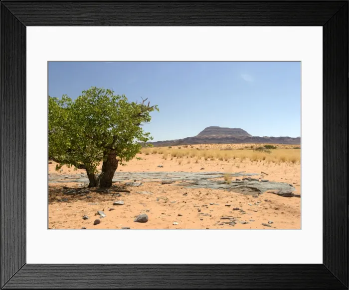 Framed Print : Africa Damaraland. near Khorixas, Namibia Framed Print : Africa Damaraland. near Khorixas, Namibia