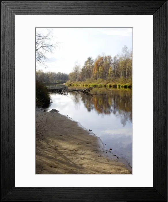 Framed Print : Russian Desman - habitat. River Pra, a tributary of river Oka - one of habitats of Russian Desman; territory of Okski Biospheric Nature Reserve; Central Russia, 50 km East from Ryazan town; autumn in October Ok39. 0001 Framed Print : Russian Desman - habitat. River Pra, a tributary of river Oka - one of habitats of Russian Desman; territory of Okski Biospheric Nature Reserve; Central Russia, 50 km East from Ryazan town; autumn in October Ok39. 0001