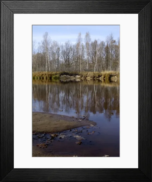 Framed Print : Russian Desman - habitat. River Pra, a tributary of river Oka - one of habitats of Russian Desman; territory of Okski Biospheric Nature Reserve; Central Russia, 50 km East from Ryazan town; autumn in October Ok39. 0007 Framed Print : Russian Desman - habitat. River Pra, a tributary of river Oka - one of habitats of Russian Desman; territory of Okski Biospheric Nature Reserve; Central Russia, 50 km East from Ryazan town; autumn in October Ok39. 0007