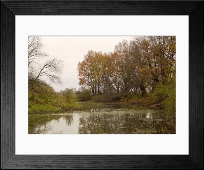Framed Print : Russian Desman - typical habitat. An old river-bed of river Oka, typical in river Oka valley-plain locally called Meshera (flooded in spring) Framed Print : Russian Desman - typical habitat. An old river-bed of river Oka, typical in river Oka valley-plain locally called Meshera (flooded in spring)