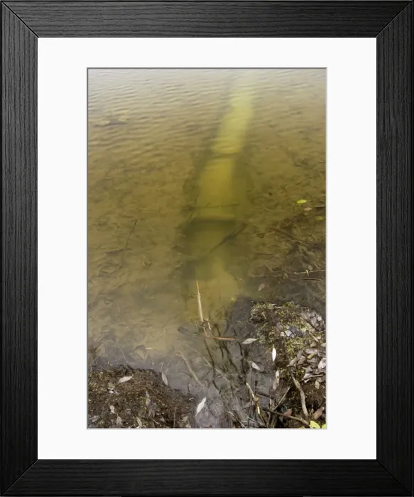 Framed Print : Russian Desman - typical burrow. A typical exit from a burrow (in the bank) into open water of an old river-bed of river Oka, typical in river Oka valley-plain locally called Meshera (flooded in spring) Framed Print : Russian Desman - typical burrow. A typical exit from a burrow (in the bank) into open water of an old river-bed of river Oka, typical in river Oka valley-plain locally called Meshera (flooded in spring)