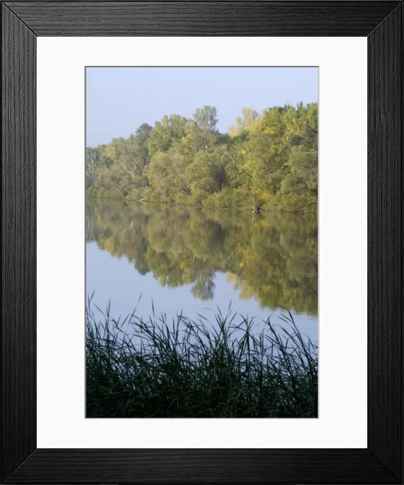 Framed Print : Typical habitat of the Russian desman: small fresh-water lake with lush vegetation and rich water-life; one in the string of lakes, formed in old river-bed of river Ural on a vast flood-plain, a part of desman's primary areal of distribution