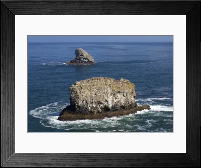 Framed Print : Guillemot Covered Stacks Cape Mears Oregon, USA LA000915 Framed Print : Guillemot Covered Stacks Cape Mears Oregon, USA LA000915