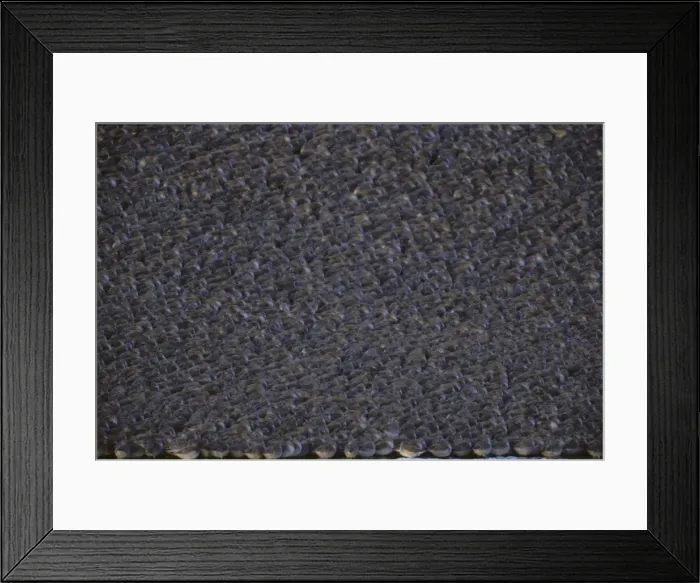 Framed Print : Knot - High Tide Roost Snettisham RSPB Reserve Norfolk, UK BI002373 Framed Print : Knot - High Tide Roost Snettisham RSPB Reserve Norfolk, UK BI002373