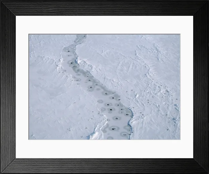Framed Print : Harp SEALS - aerial of breathing holes in lead in pack-ice Framed Print : Harp SEALS - aerial of breathing holes in lead in pack-ice