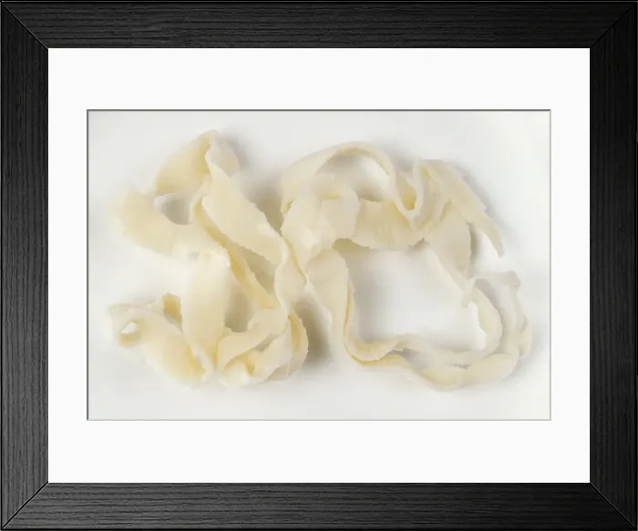 Framed Print : Tapeworm - from cat Framed Print : Tapeworm - from cat