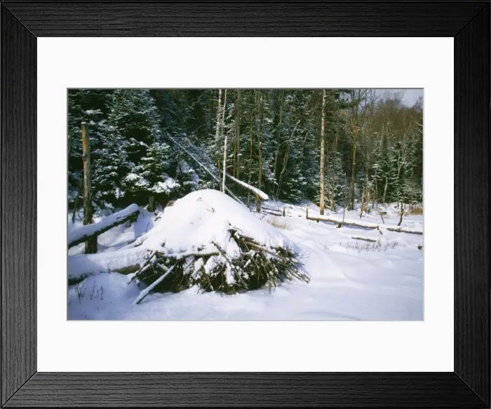 Framed Print : Beaver Lodge - in winter in snow Ontario, Canada Framed Print : Beaver Lodge - in winter in snow Ontario, Canada