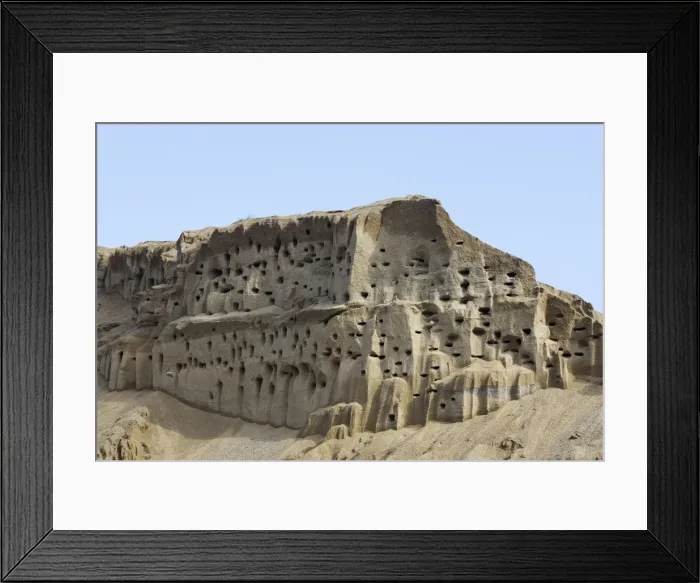 Framed Print : Bank Swallow  /  Sand Martin - nest holes at colony in sand bank